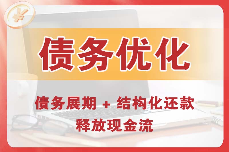 临海债务优化