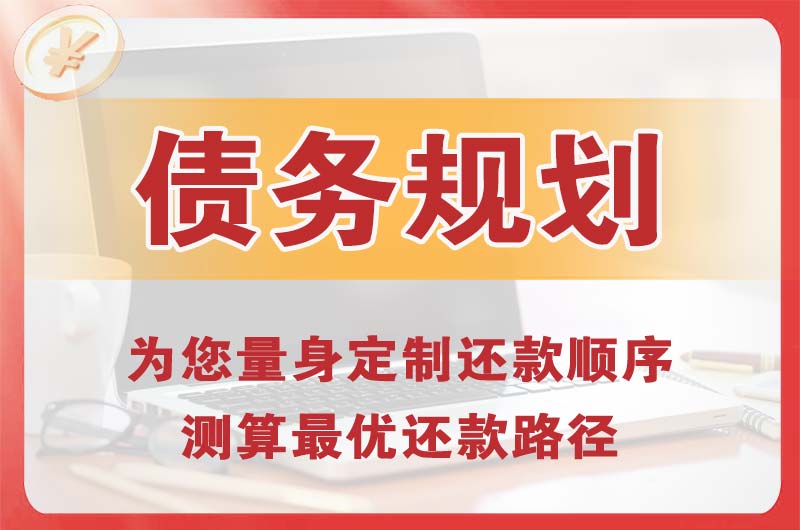 临海债务规划